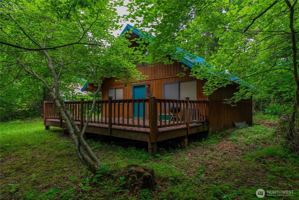 146 Mount Rainier Drive, Packwood