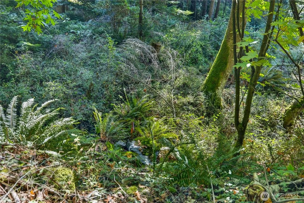 0 Nhn Woody Lane W, Anacortes