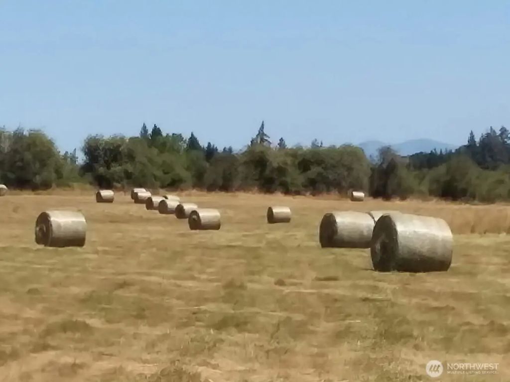 Drews Prairie Road, Winlock