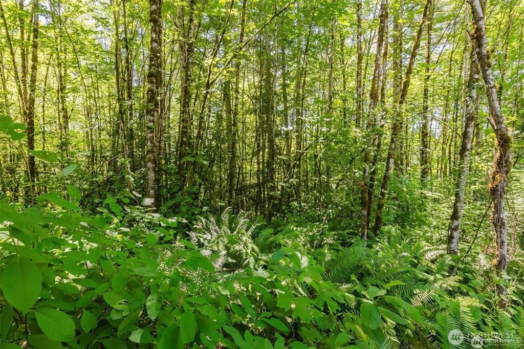 11 Lot Cassie Place Nw, Poulsbo