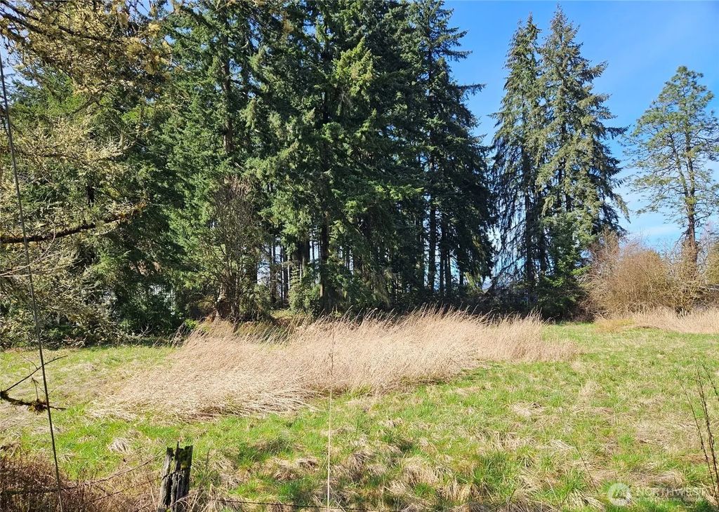 11735 Driver Street Sw, Olympia
