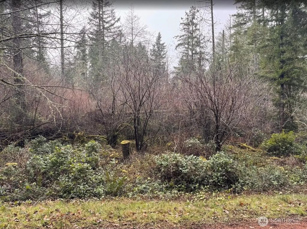 10618 Tahoma Drive, Anderson Island