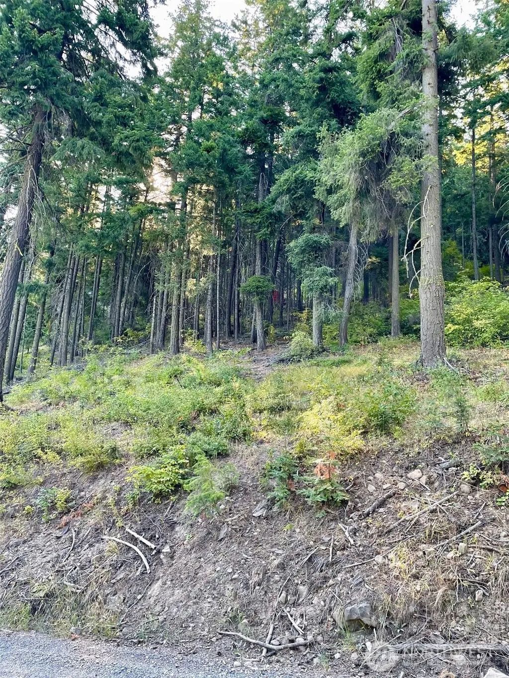1290 Rodeo Road, Cle Elum