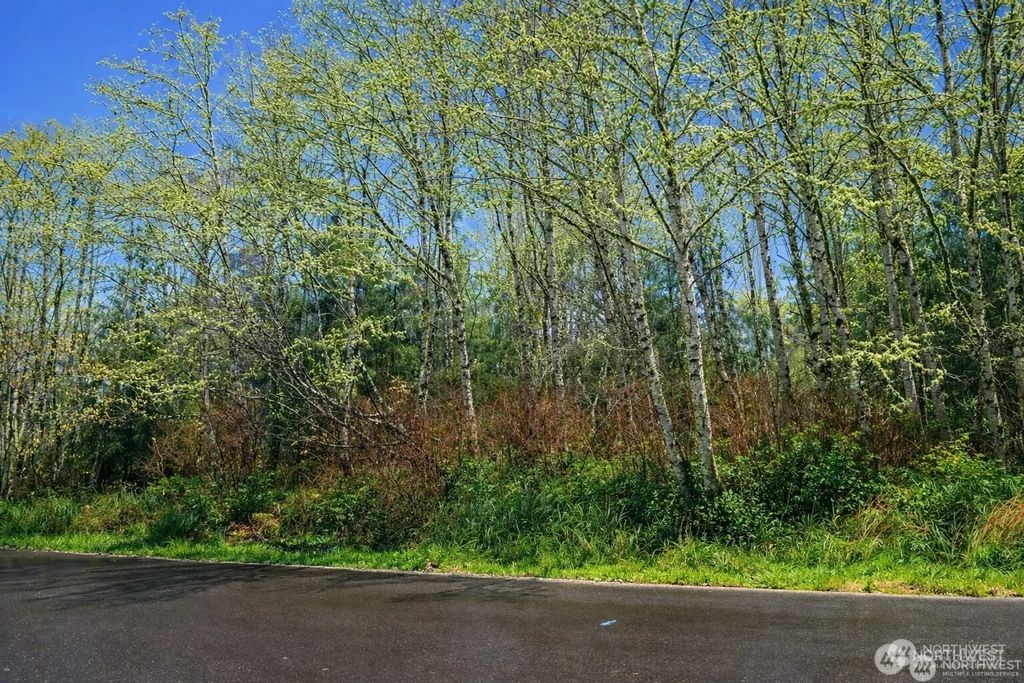 821 Duck Lake Drive Ne, Ocean Shores