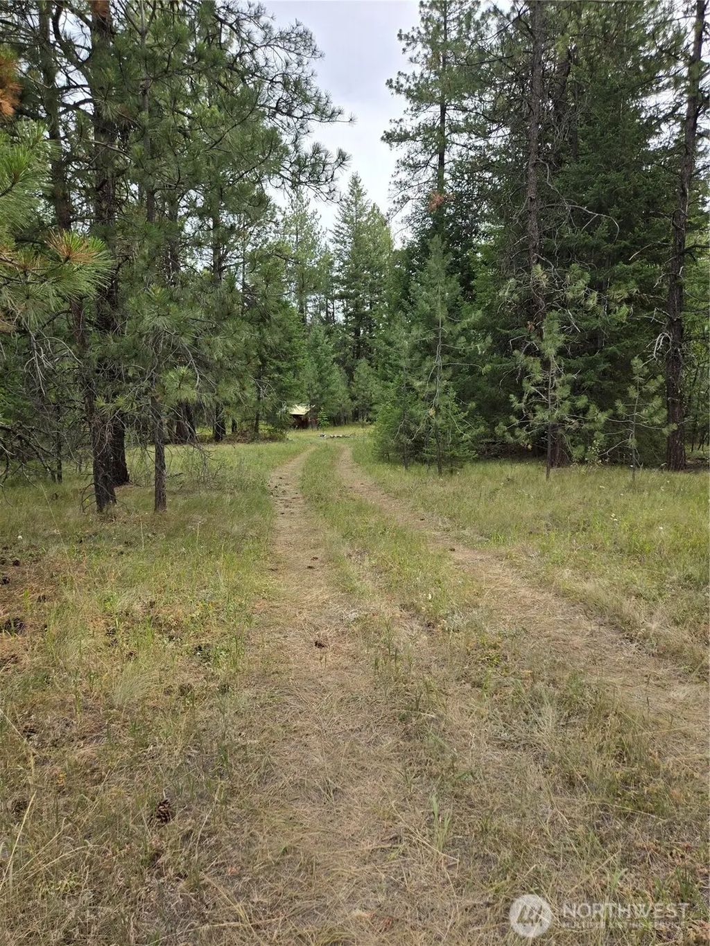 Tbd Turner Lake Road, Tonasket