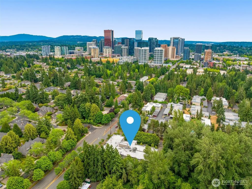 10398 Ne 17th Street 206, Bellevue
