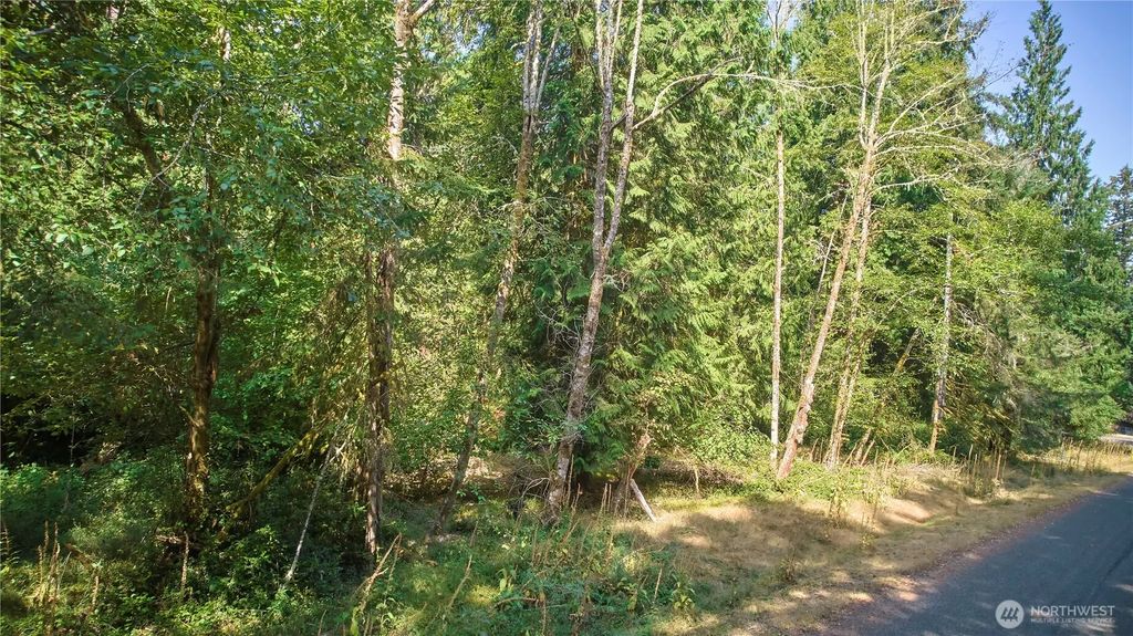 10114 Selma Circle, Anderson Island