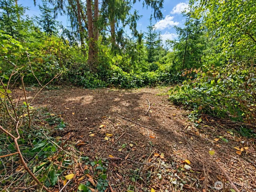 0 Xx W Dry Lake Road, Camano Island