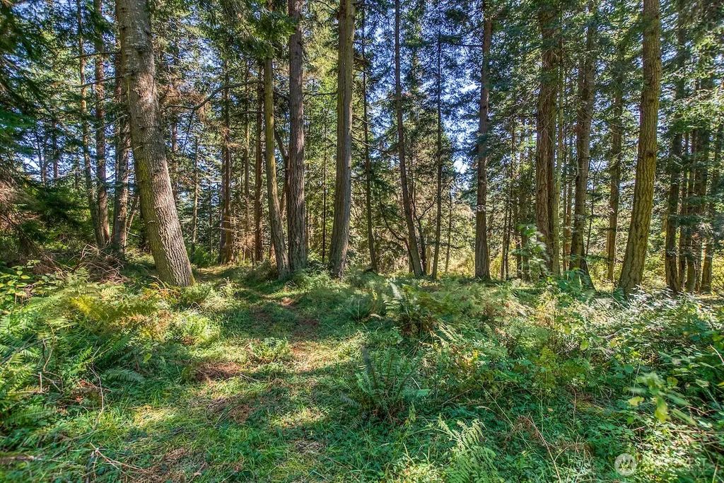 Pioneer Hill Road, Orcas Island
