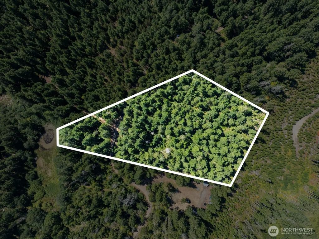 2461 W Hanks Lake Road, Shelton