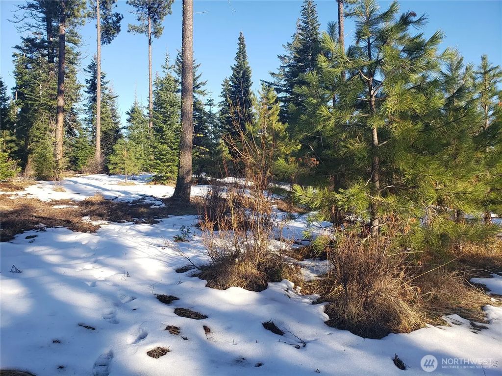 0 Lot F R&r Heights Drive, Roslyn