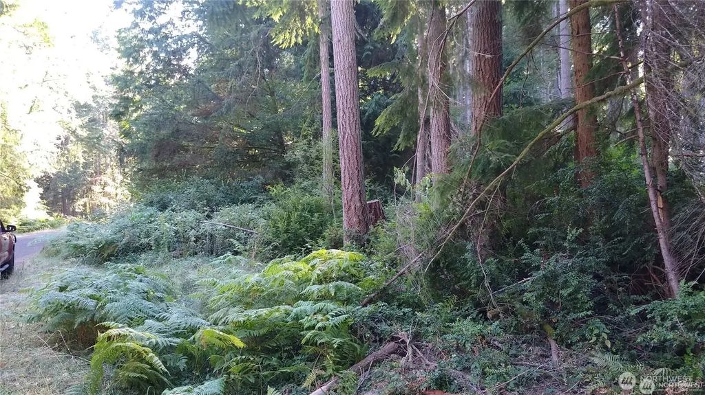 12106 Sound Drive, Anderson Island