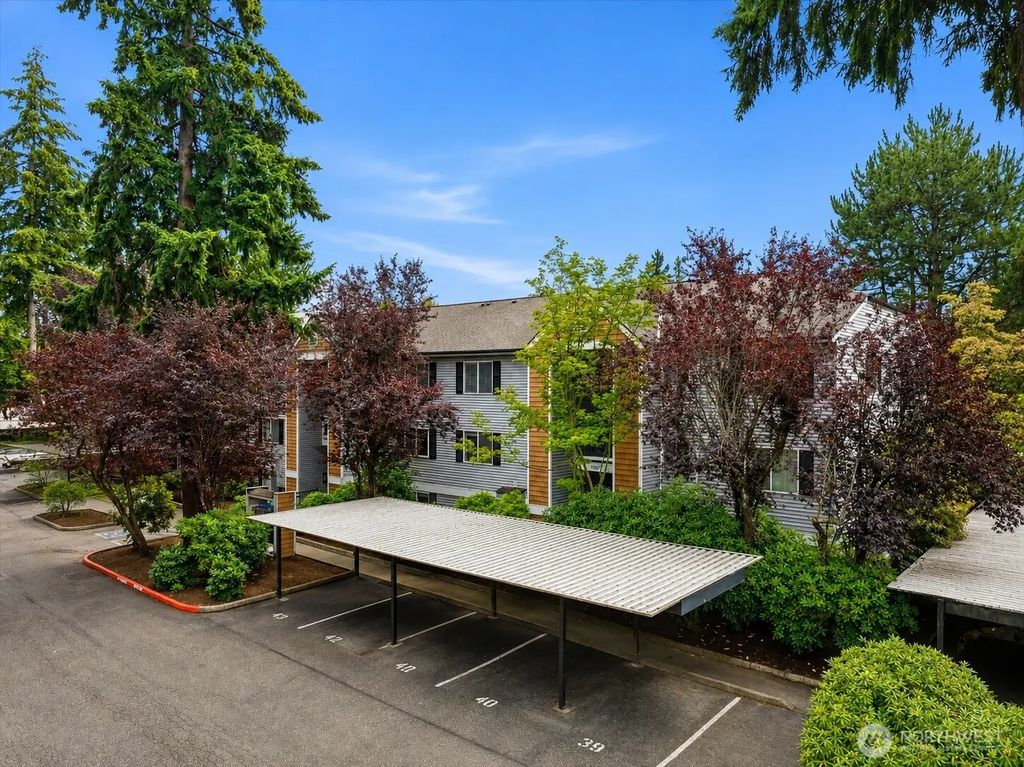 1011 156th Avenue Ne 207, Bellevue