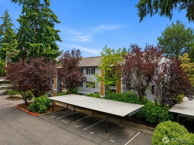 1011 156th Avenue Ne 207, Bellevue