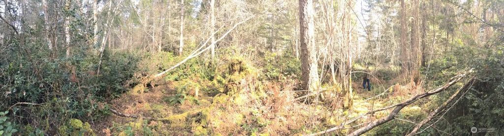 160th Avenue Nw, Gig Harbor