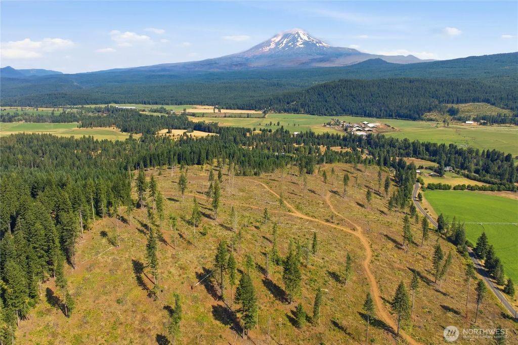Little Mountain Road, Trout Lake