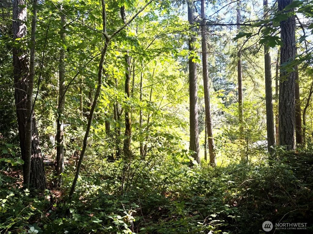 Oak Street, Quilcene