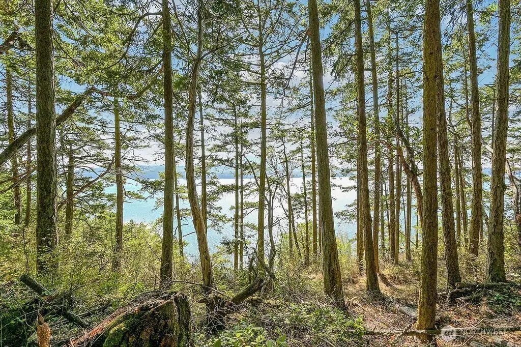 6982 Cape George Rd, Port Townsend