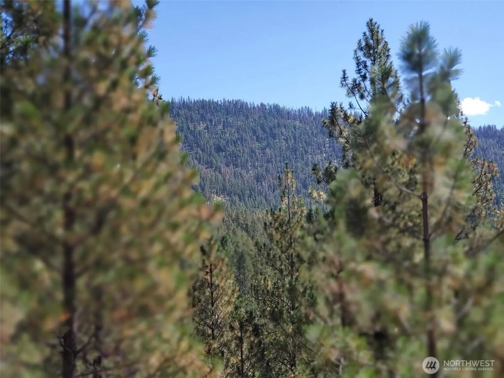 Long Horn Trail, Riverside