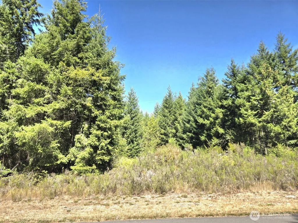 19710 146th Avenue Se, Yelm