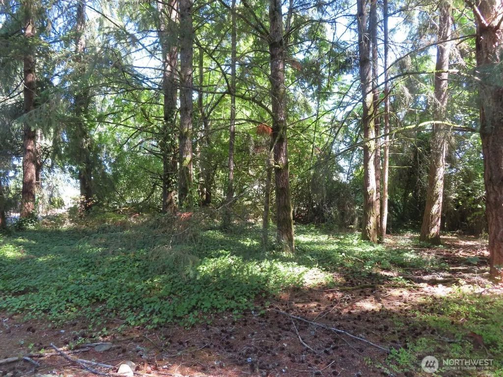 8021 Afflerbaugh Court Se, Lacey