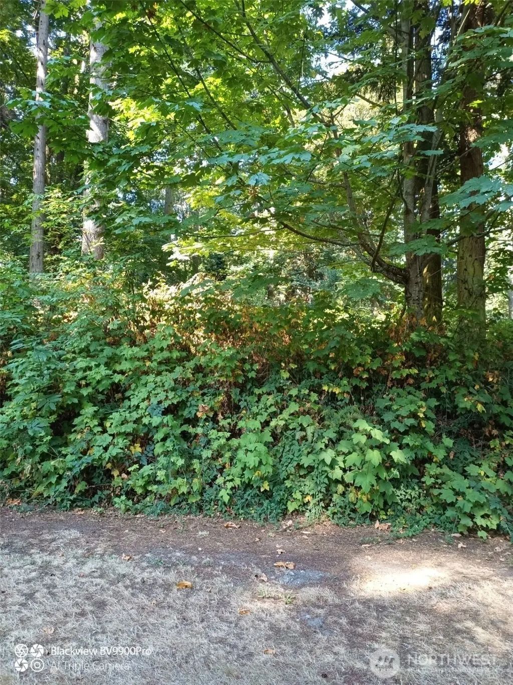 86 G Hat Place, Hat Island