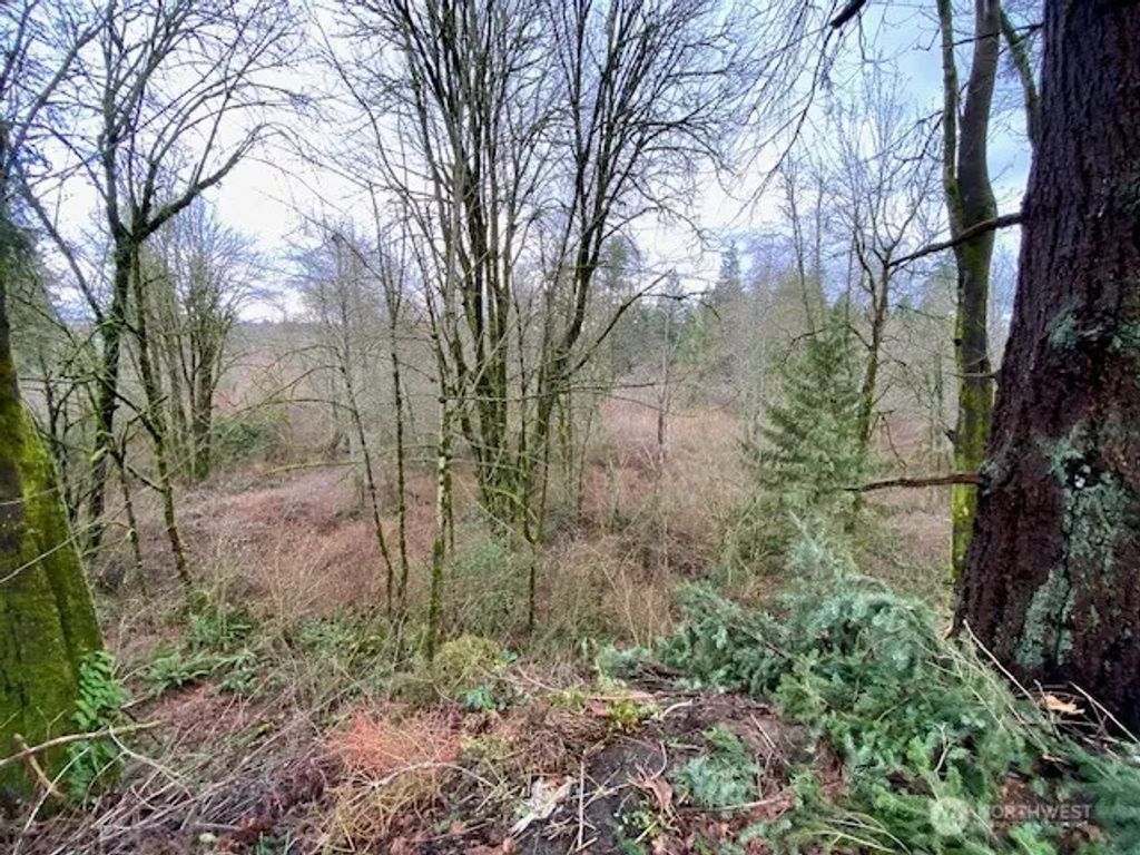 132 &129 Linda Street Se, Tumwater