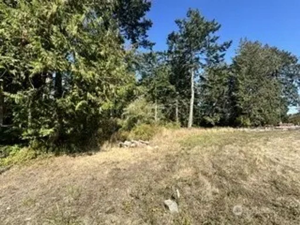 68 Bryn Mawr Avenue C, Lopez Island