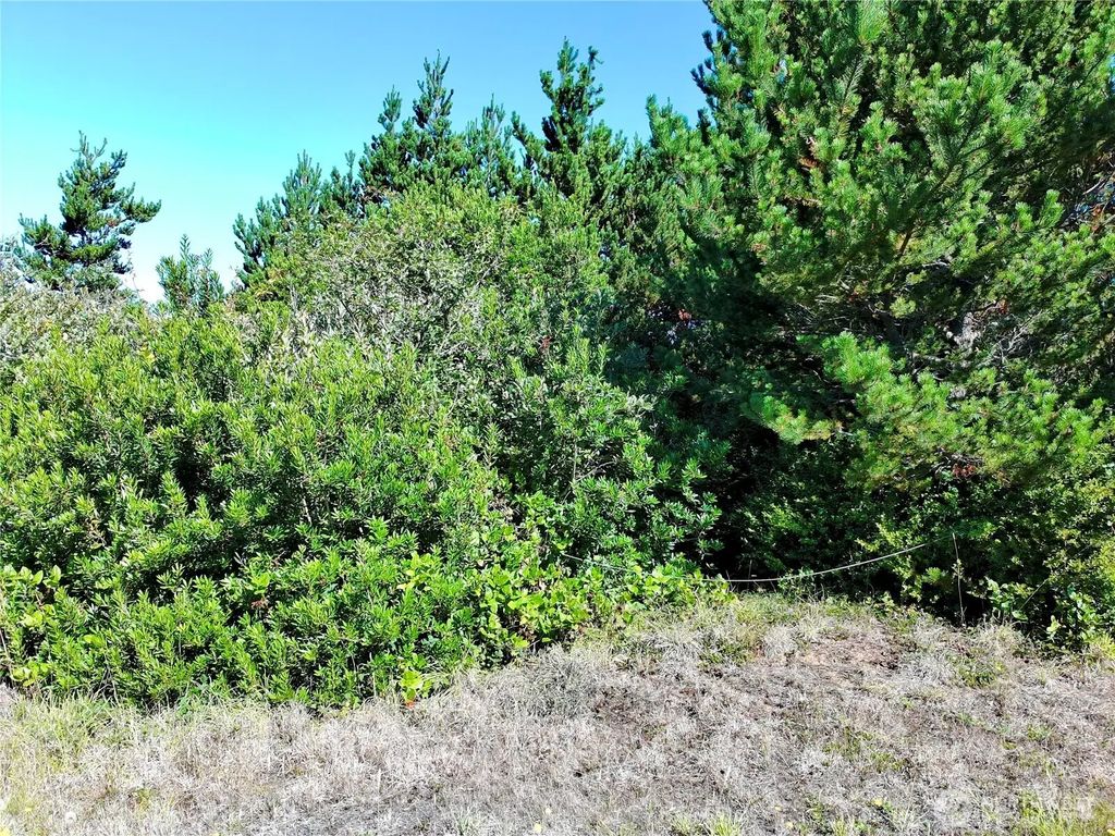 362 King Cyrus Loop Sw, Ocean Shores