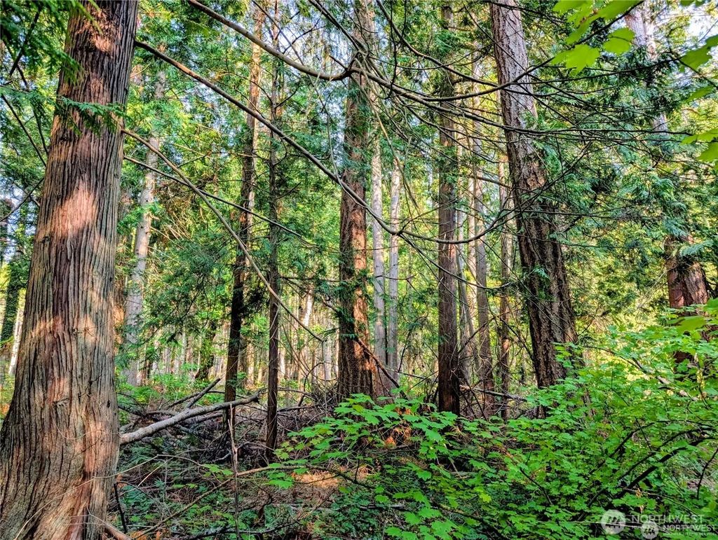 2 Mill Road, Point Roberts