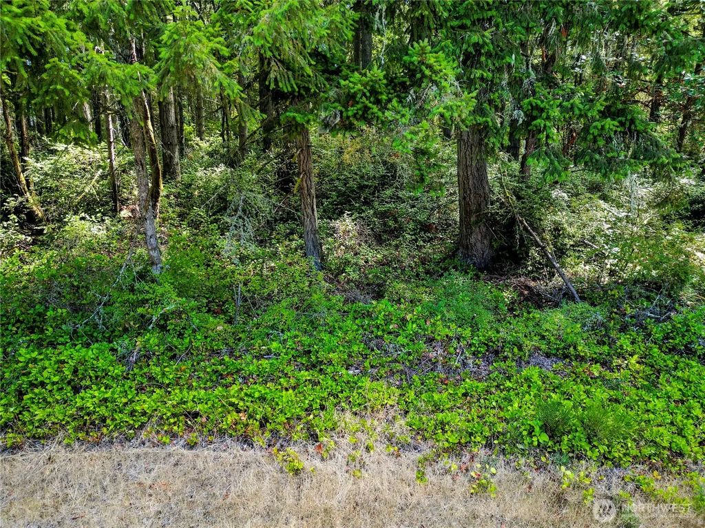 10205 Eckenstam Johnson Road, Anderson Island