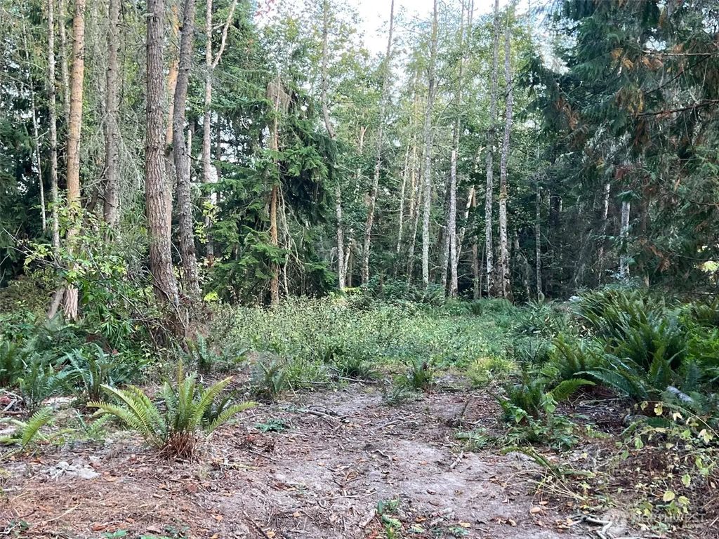 9999 Took-a-look Ln Lot 2, Sequim