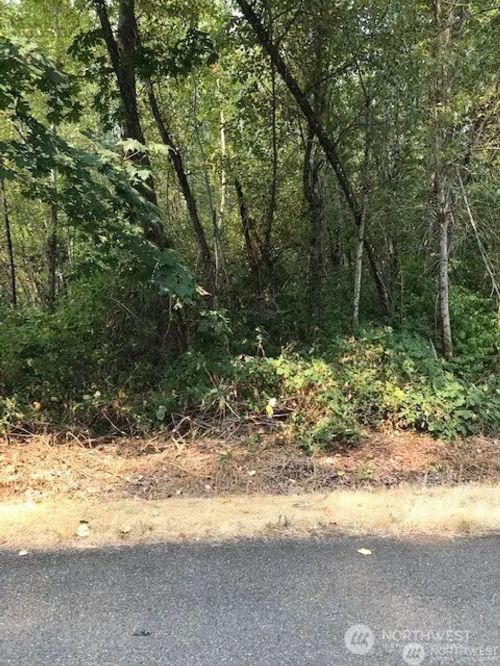 7521 188th Avenue E, Bonney Lake