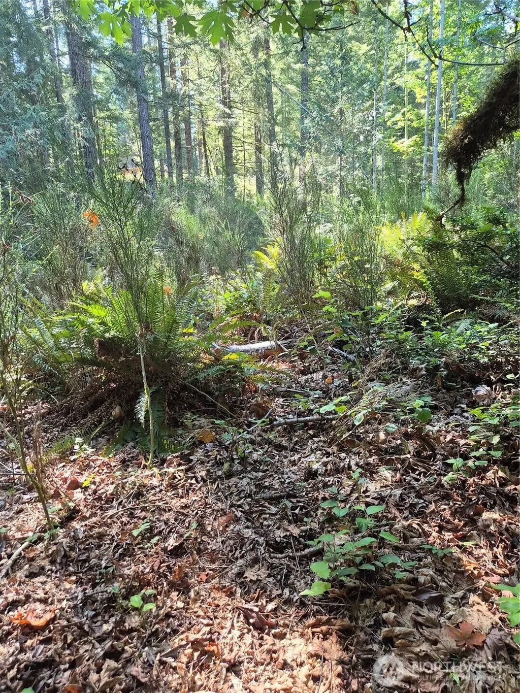 2755 Lost Creek Lane Nw, Bremerton