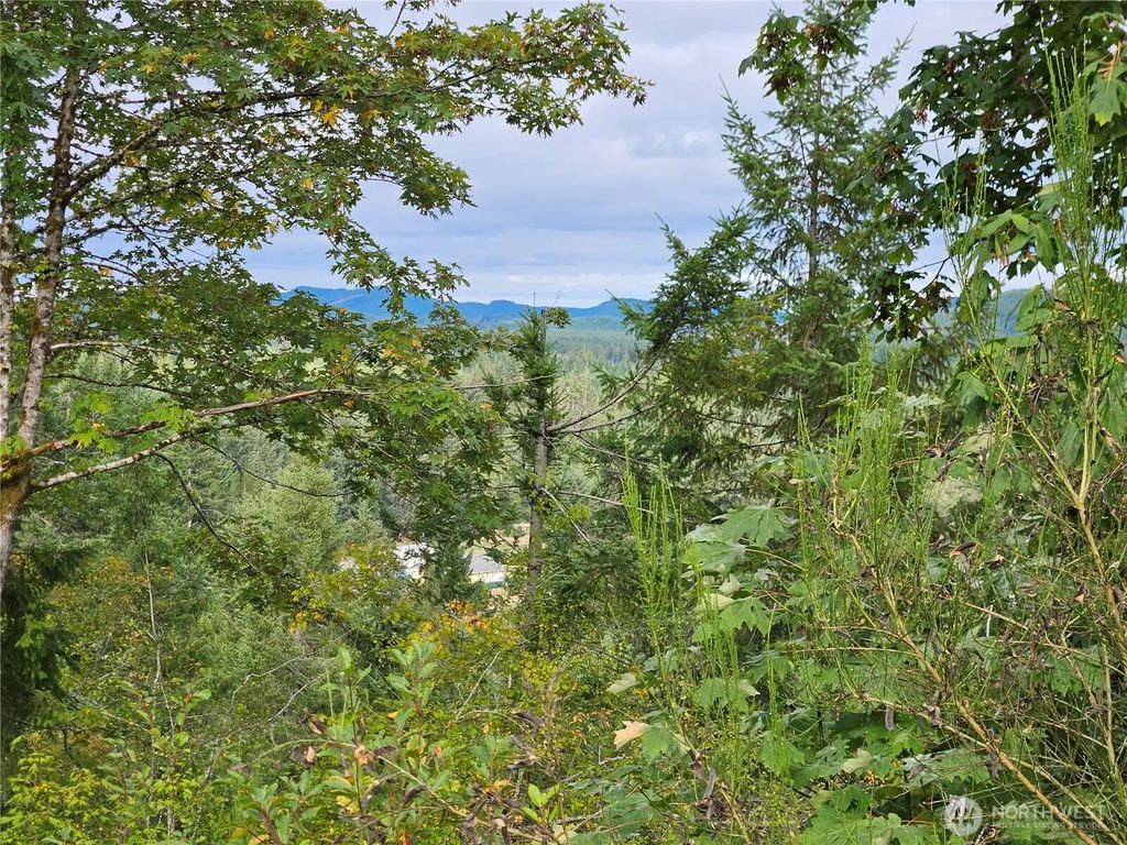 390 W Satsop Drive, Elma
