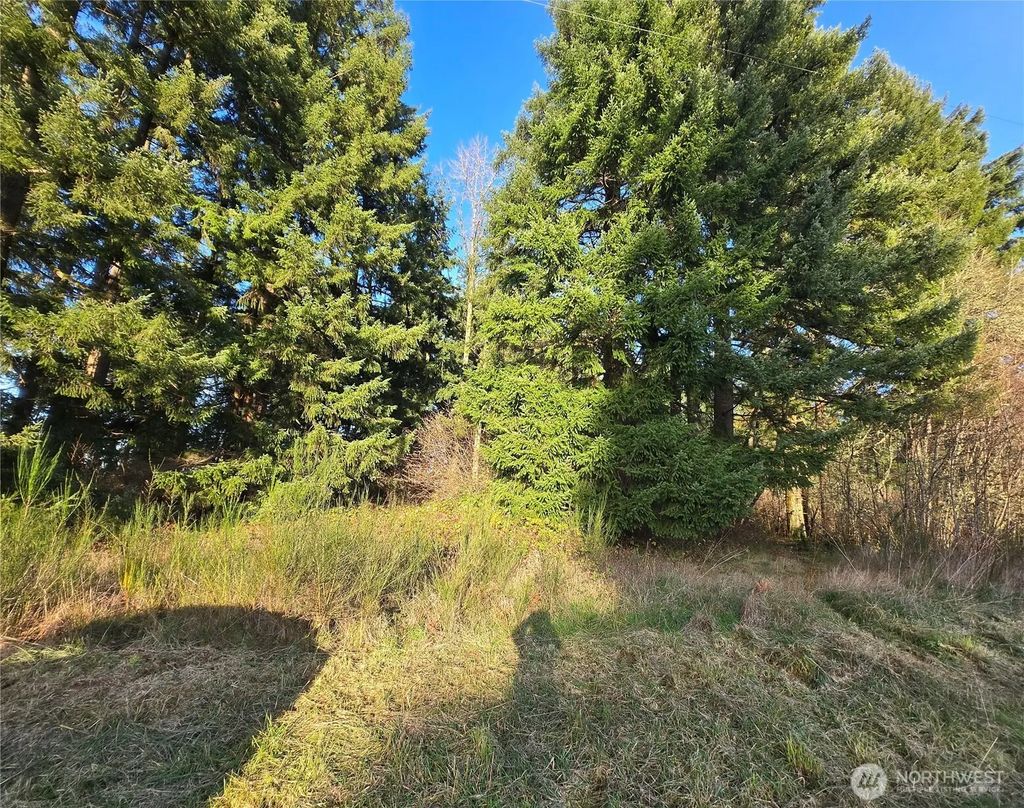 Clinton Road, Chehalis