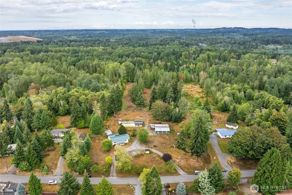 12517 Kapowsin Highlands Drive E, Graham