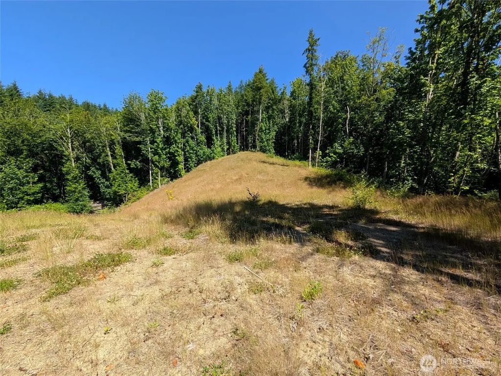 Stoney Brook Lane, Bellingham