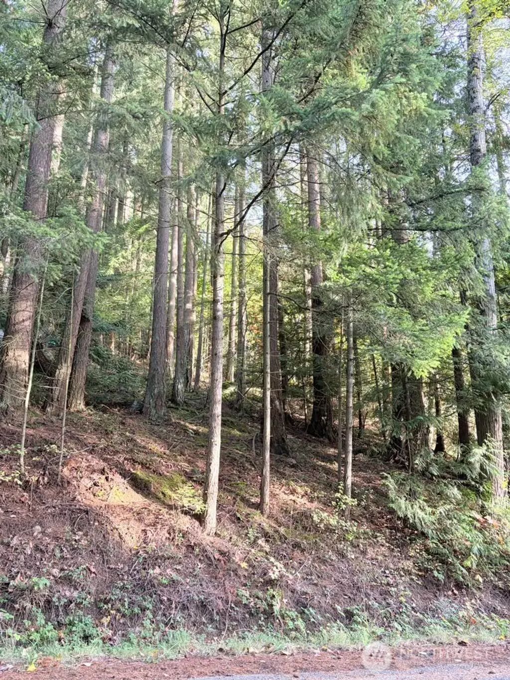 0 Xxx Emerald Lake Lot# 122 Way, Bellingham