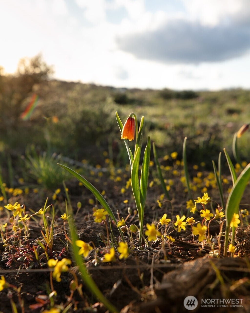 0 Nka Cowiche Mill Road, Cowiche