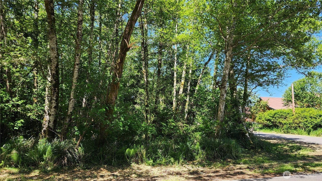 801 Duck Lake Drive Ne, Ocean Shores