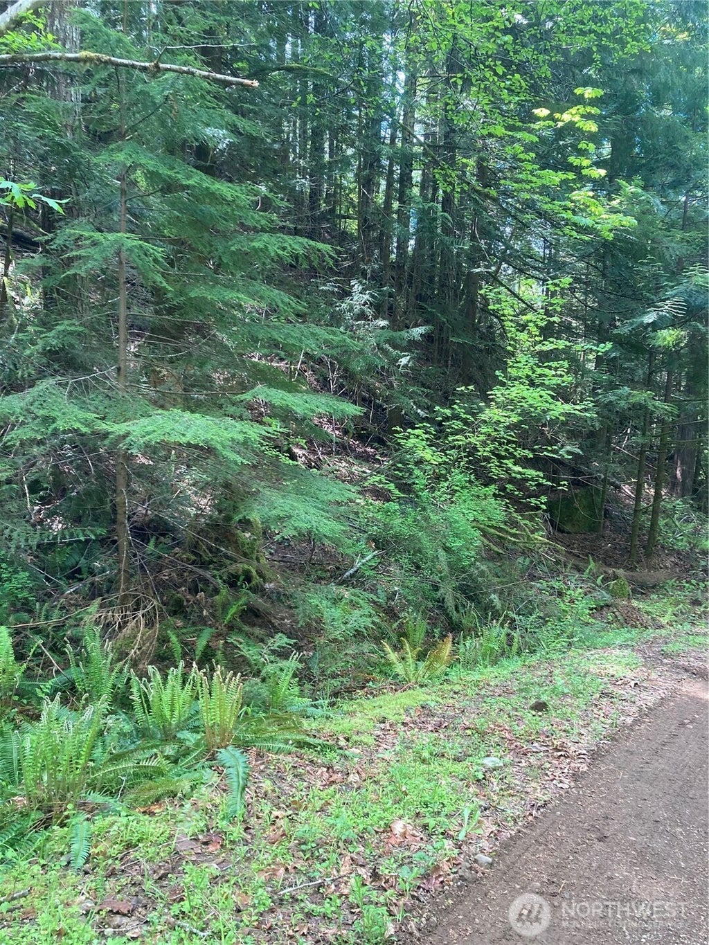 12 Dow Ridge Road, Hoodsport