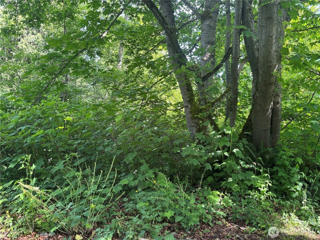 10 M Olympic Drive, Hat Island