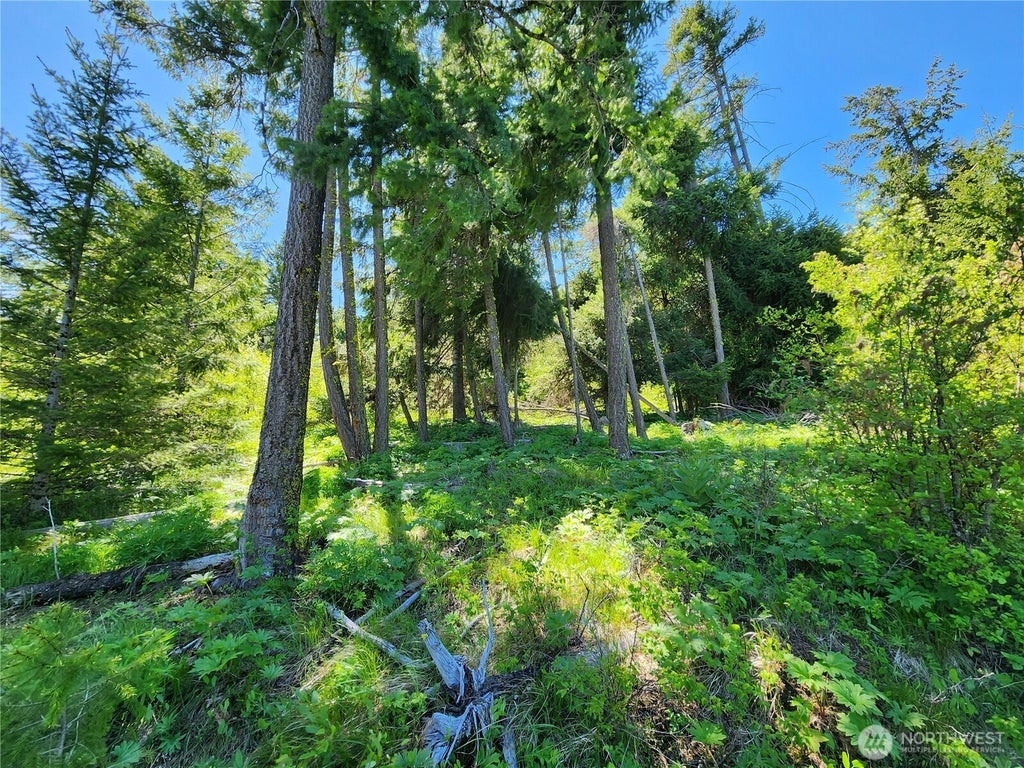 1 Black Hawk Drive, Cle Elum