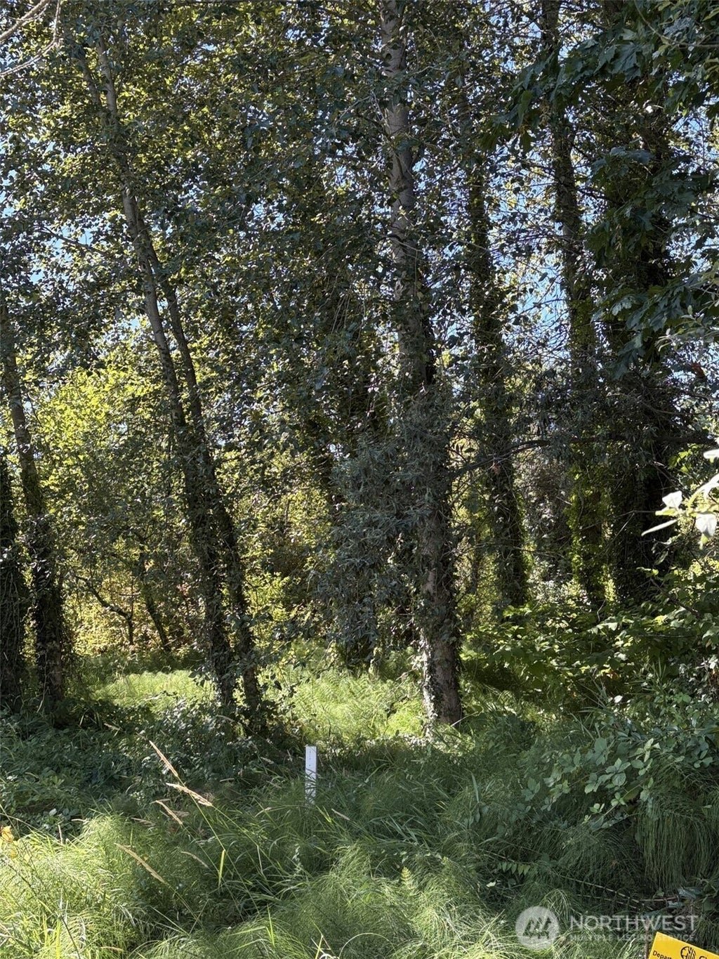 8826 3rd Avenue S, Seattle