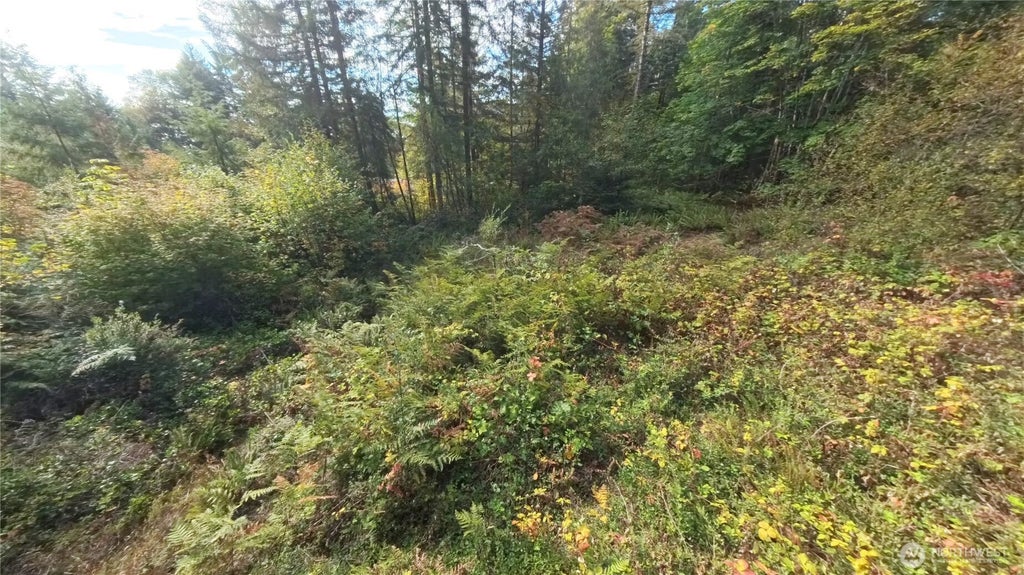 130 Lot: B, Ptn Blk: 15, Hoodsport