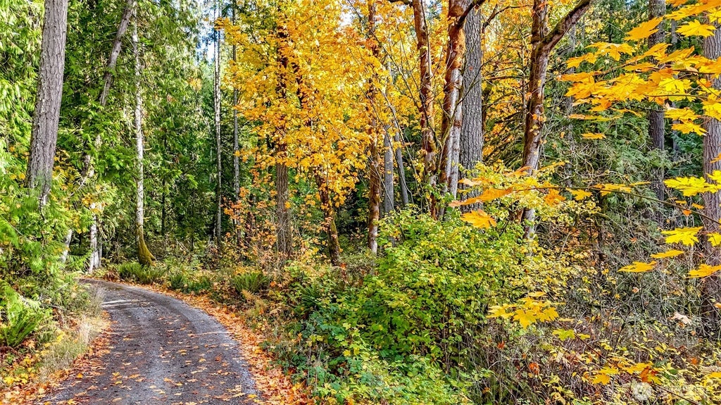 18313 Patterson Road E, Orting