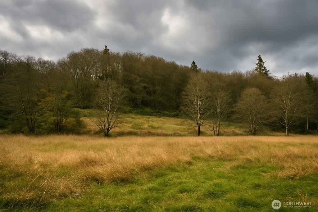 16818 W Big Lake Boulevard, Mount Vernon