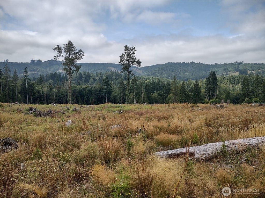 Summit Lake Road, Olympia