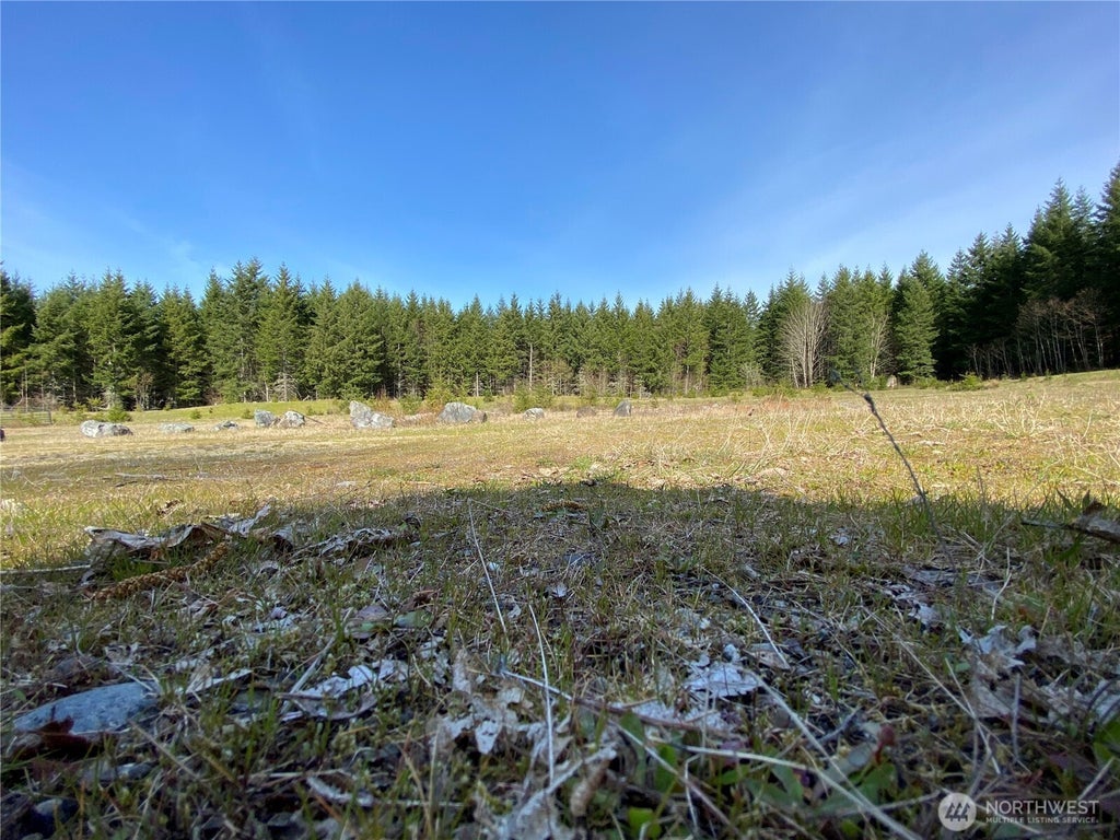 Xxx 250th Ave E, Orting